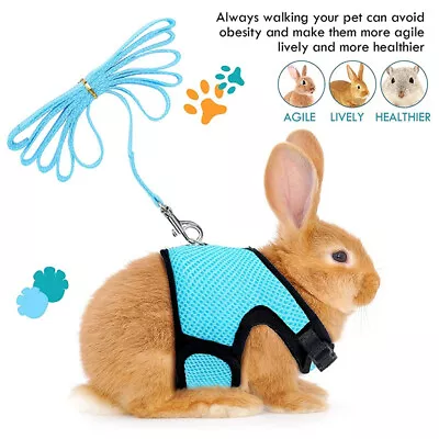 Harness Leash Mesh Rabbit Bunny Pet Vest Small Lead Animal Adjustable Accessorie • $12.50