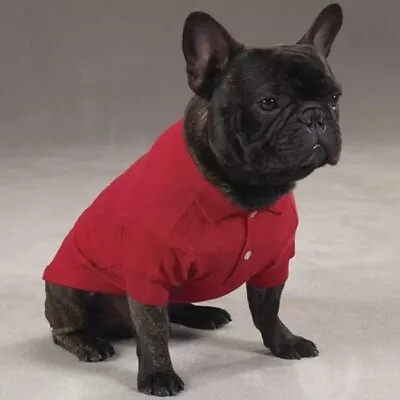 Pet Pals US2100 20 90 Zack & Zoey Polo Shirt Lrg Tomato Red • $8.04