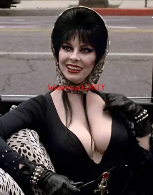 Cassandra Peterson  Elvira   Mistress Of The Dark  SEXY  Pin-Up  PHOTO! #(234) • $9.99