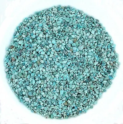 $18.98 • Buy 1/2 Ounce Sonoran Baby Medium Color Turquoise Inlay Pieces 4mm & Less NO POWDER