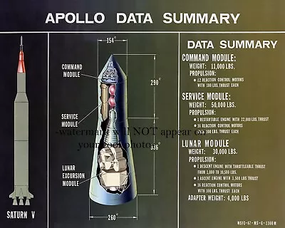 Apollo Capsule Cutaway PHOTO Schematic Lunar Module NASA Moon Mission 8x10 • $12.88