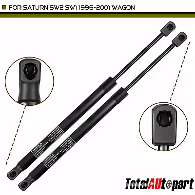 2x Lift Supports Rear Tailgate Truts For Saturn SW1 SW2 Passenger Van Cargo Van • $20.09