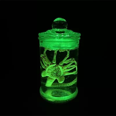 Alien Glass Jar With LED Xenomorph Specimen Facehugger Movie Prop Replica • $55