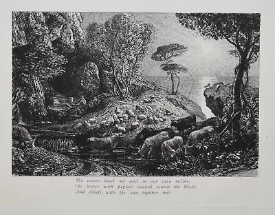 £347.22 • Buy Listed English Artist Samuel Palmer, Original Etching British Moeris And Galatea