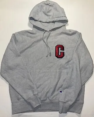 Champion Reverse Weave Hoodie Cornell University Ivy League Sweatshirt L VTG Y2K • $80