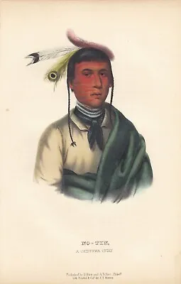 Rare McKenney And Hall Octavo Portrait Print 1855: NO-TIN. A Chippewa Chief. • $129.99