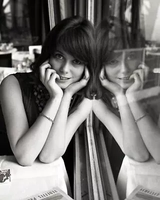 Catherine Deneuve Sits At Table In Restaurant 1960's Dark Hair 8x10 Inch Photo • $10.99