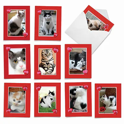 10 All Occasion Blank Note Cards - Heartfelt Cats M5658OCB-B1x10 • $11.98