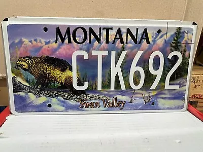 Swan Valley Montana License Plate • $19