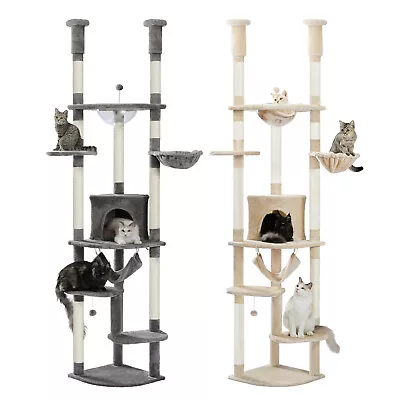 PAWZ Road Cat Tree Scratching Post Cat Tower Floor To Ceiling Scratcher Bed Toys • $69.99