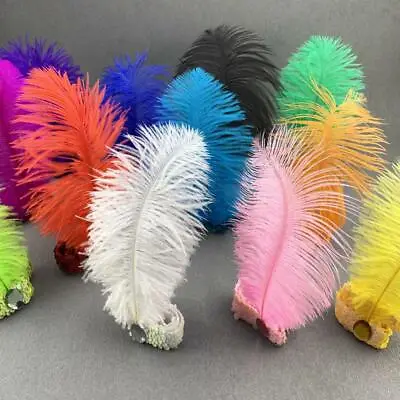 $2.99 • Buy Ostrich Feathers Hair Accessories Beaded Sequin Band Costume Party Headpiece