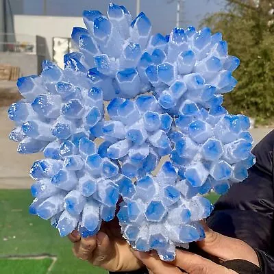 6.9LB New Find Sky Blue Phantom Quartz Crystal Cluster Mineral Sample • $66