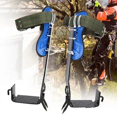 2pcs Multipurpose Tree Climbing Spikes Gaffs Spurs Irons Outdoor Claw Tool 100KG • $132.13