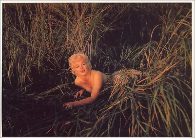 £10.52 • Buy Eve Arnold. Marilyn Monroe, The Misfits, 1960. Magnum Photos. BàT Photoprint