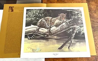 VINTAGE GUY COHELEACH SIGNED  JUNGLE JAGUAR  L.E. ART PRINT 26 X21  WILDCATS • $49.99