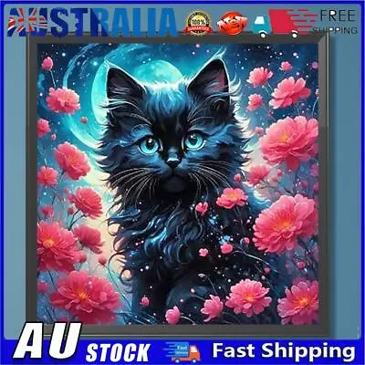 AU 5D DIY Full Round Drill Diamond Painting Moonlight Black Cat Home Decor 30x30 • $9.89