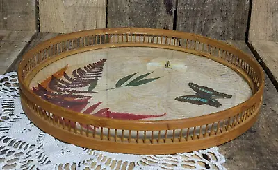 Vintage 11  Bamboo/Wicker Serving Tray Pressed Butterfly And Fern • $13