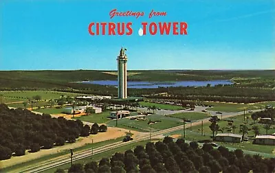 Greetings From The Citrus Tower - Clermont Florida FL - Postcard • $1.99