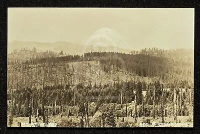 Early RPPC Mt. St. Helens. Woodland Washington. C 1920's Cowlitz County  • $16.95