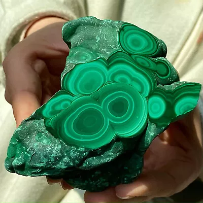 407G Natural Glossy Malachite Transparent Cluster Rough Mineral Sample • $0.99