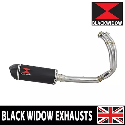 Z650 2017-2022 Exhaust System Oval Silencer End Can 300BT • £349.99