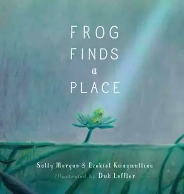 Frog Finds A Place By Sally Morgan Brand New Softcover • £5.16