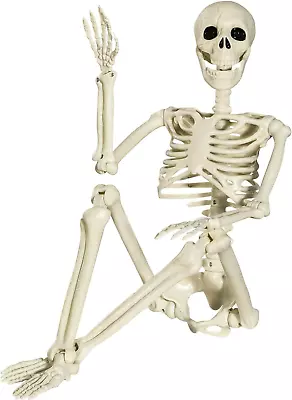 Halloween Skeleton Full Body Posable Joints  3Ft Human Skeleton Decorations For • $31.12
