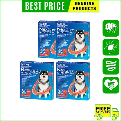 NEXGARD SPECTRA Flea Heartworm Control 3612 Chews For Dogs 30.1 To 60 Kg RED • $79.48