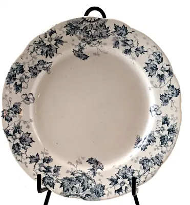 John Maddock & Sons Oakland Blue White 8  Plate Made In England Royal Vitreous • $10.99