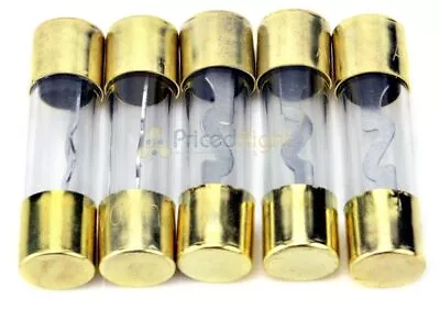 Pack Of 5 Car Audio Amp Amplifier Glass 100 A AMP AGU Gold Plated Fuse USA SHIP • $7.95