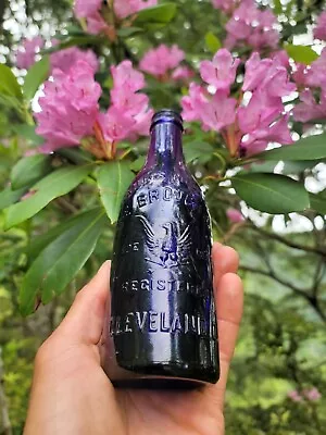 $237 • Buy Old Deep Amethyst Eagle Soda Bottle☆ Antique Pictorial Cleveland Ohio Bottle!