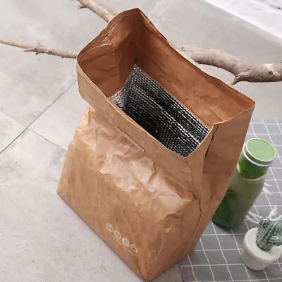 Brown Paper Lunch Bag Reusable Insulated Thermal  Sack Magnetic Clo_$b • $7.62