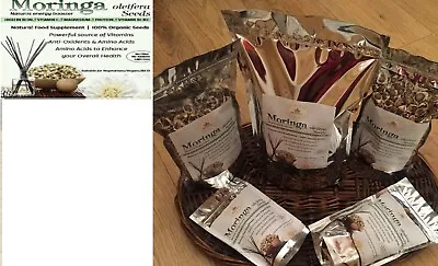£7.95 • Buy 200 Moringa Oleifera Seeds - 100% Organic Quality Non Gmo From Ghana - Uk Seller
