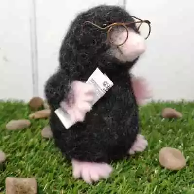 The Crafty Kit Mr Mole Needle Felting Craft Kit • £20