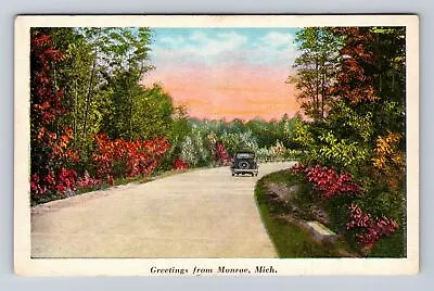 Monroe MI-Michigan Greetings Scenic Wildflowers Along Roadway Vintage Postcard • $7.99