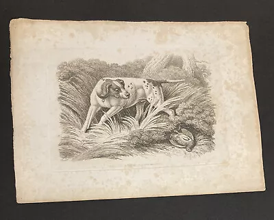 £4 • Buy Etching By Samuel Howitt DOG & BIRD