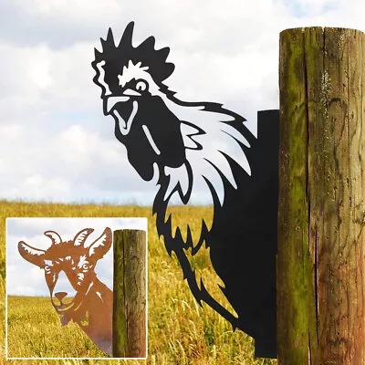 Farm Peeping Goat Chicken Metal Art Ornaments Garden Outdoor Wall Mounted FaHOM • £11.15