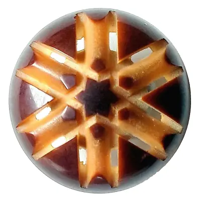 BIG Domed Pierced Vegetable Ivory VI Button With Star Center Tagua Nut • $25