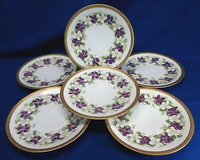 Set Of 6 T & V Limoges Hand-painted Purple & White Violets 8.75 Dia Luncheon / D • $119.99
