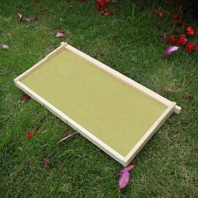 10pcs UK National Beehive Wax Foundation Super / Brood Sheets Frames Beekeeping • £35.95