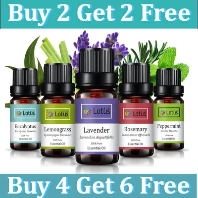 $8.99 • Buy 10ml Essential Oil 100% Pure & Natural Aromatherapy Diffuser Essential Oils