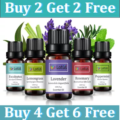 $11.99 • Buy 10ml Essential Oil 100% Pure & Natural Aromatherapy Diffuser Essential Oils