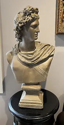 Apollo Belvedere Museum Replica Reproduction Home Garden Sculpture Bust 24.5  • $169