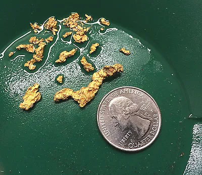 2 1/2 LB NUGGET RESERVE Gold Panning Paydirt Concentrate - Guaranteed Gold • $60