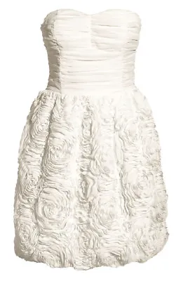 NWT H&M The Garden Collection Strapless Rose Cocktail Dress Nude/Ivory Size US4 • $79.99