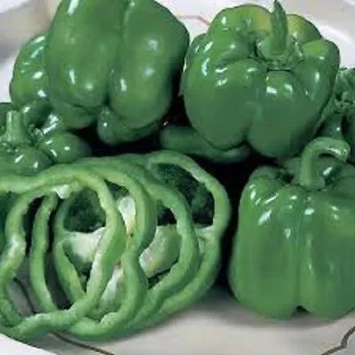 Premium California Bell Pepper - Most Popular Bell Pepper Variety In The World! • $1.99