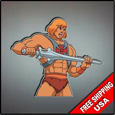 He-Man Masters Of The Universe Decal Vinyl Wall Sticker 4  HEMAN SKELATOR • $4.99