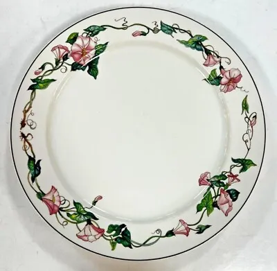 Villeroy & Boch Palermo Dinner Plate Set Of 2 • $20