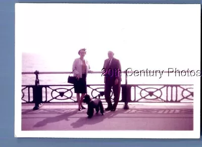 Found Color Photo P+5643 Man In Suit And Woman In Dress Posed With Dog On Pier • $6.98