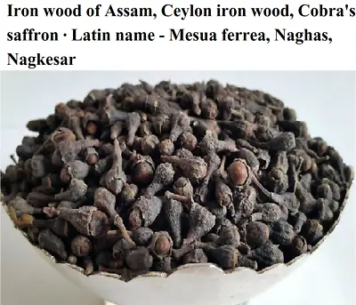 100% Pure Cobra's Saffron Ironwood Of Assam Indien Rose Chestnut NAGKESAR Kadu • £7.86
